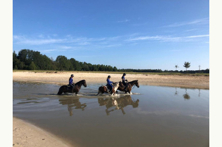 Park Drentheland vakantiepark in Drenthe met 26 luxe stallen VMP089